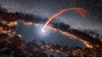 space12.jpg