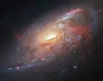 space7.jpg