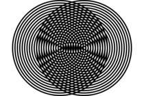 modulo2/p2p-obligatoria/Moire_Circles_600px.png