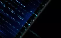 Website/Binary-Code-Desktop-Wallpaper.jpg