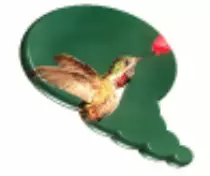 bu_bird.gif