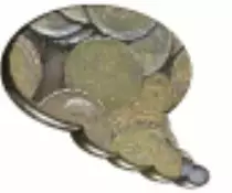 bu_penny.gif