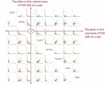 images/smspiitext01.jpg