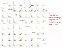 images/smspiitext02.jpg