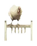 img/front42.png