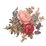 img/side.png