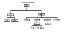 MIRIADAX/arbol.png