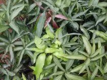 20150225_115231.jpg