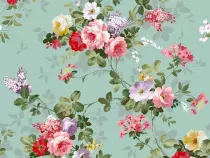images/pictures/flower.jpg