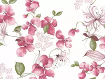images/pictures/flower2.jpg