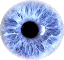 az_8_test/eye1.png