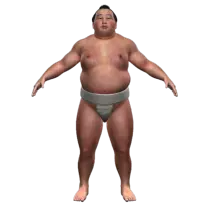 sumodude.png