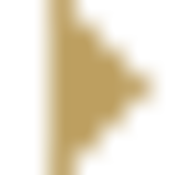 images/arrow.gif
