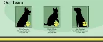 our_team.png
