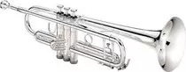 B Altevers Website/trumpet.jpeg