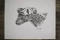 Illustrations_5.jpg