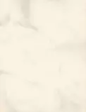 text_bg.jpg