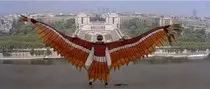 inspirations/condorman/condor-wings2.jpg