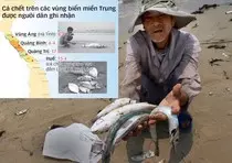img/ca-chet-tuoitre.jpg