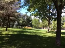 img/parc-jarry.jpg