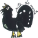 assets/img/iconas/pita.png
