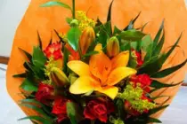 images/products/p6.jpg