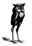 stolas.png