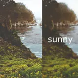 pBrandAA/sunnycover.jpg