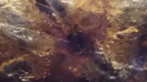 images/colagif.gif