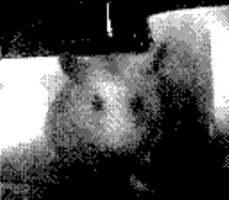 gbcam/29.png