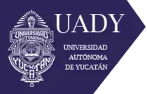 imagen/uady_aniver.png