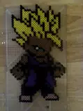 ssj.jpg