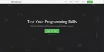 img/portfolio/website-live.png