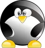 Modulo2p2pjobligatoria/images/linux.jpg