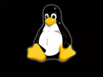 Modulo2p2pjobligatoria/images/linuxmarco.png