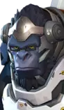 images/heroes icon/winston.png