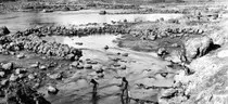 fishtraps.jpg