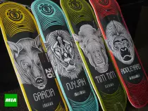 Element-Skateboards-0460.jpg