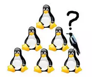 MoocUnidad2/img/tux2.jpg