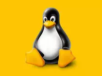 MoocUnidad2/img/tux4.jpg
