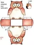 pets/pet/owl.jpg