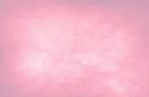pinkbb.jpg