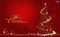 Christmascard.jpg