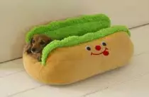 Dachshund3.jpeg