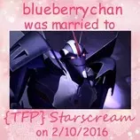 marriages/scmarry.jpeg