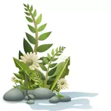 img/planta.png