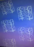 wrk/IMG_0961.png