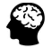 img/icons/brain.png
