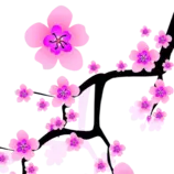 midterm project /images/flower.png