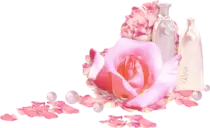 midterm project /images/rose.png